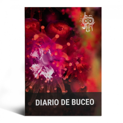 Diario de Buceo Pedreña