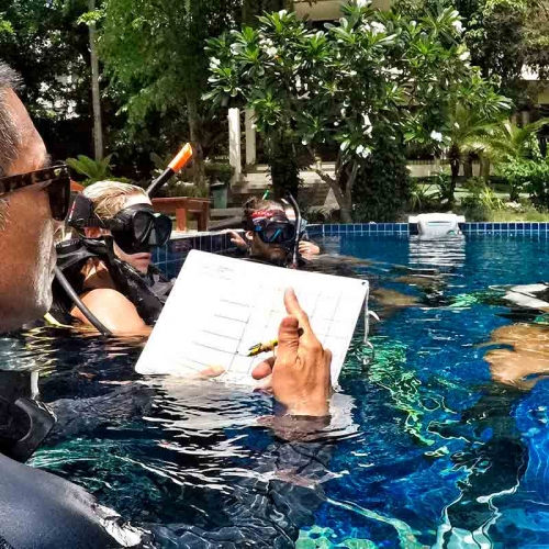 Buceo Profesional