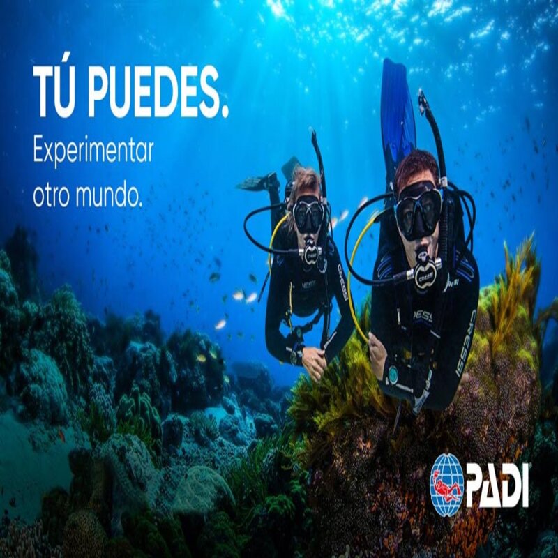 Cursos de Buceo